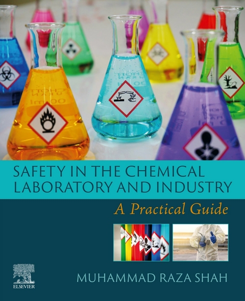 Safety in the Chemical Laboratory and Industry -  Muhammad Raza Shah