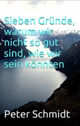 Sieben Gründe, warum wir nicht so gut sind, wie wir sein könnten - Peter Schmidt