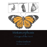 Metamorphosis -  Andrea Erickson