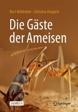 Die Gäste der Ameisen - Bert Hölldobler, Christina Kwapich