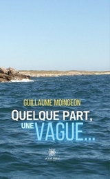 Quelque part, une vague… - Guillaume Moingeon