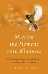 Meeting the Moment with Kindness -  Sue Schneider