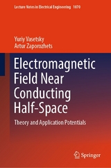 Electromagnetic Field Near Conducting Half-Space - Yuriy Vasetsky, Artur Zaporozhets