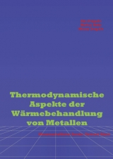 Thermodynamische Aspekte der Wärmebehandlung von Metallen - Markus Belte, Mircea Dragulin