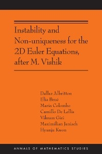 Instability and Non-uniqueness for the 2D Euler Equations, after M. Vishik -  Dallas Albritton,  Elia Brue,  Maria Colombo,  Vikram Giri,  Maximilian Janisch,  Hyunju Kwon,  Camillo De Lellis