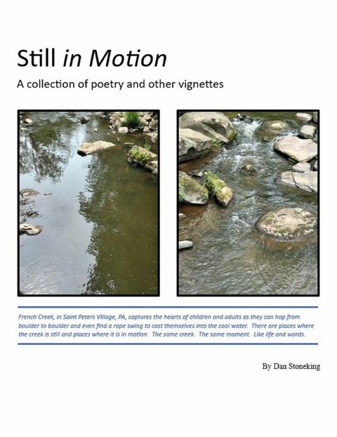 Still in Motion -  Dan Stoneking