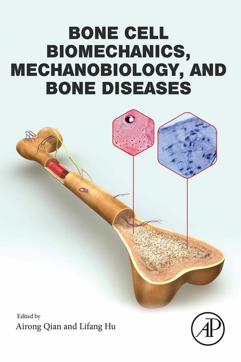 Bone Cell Biomechanics, Mechanobiology and Bone Diseases - 