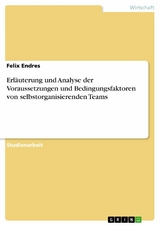 Erläuterung und Analyse der Voraussetzungen und Bedingungsfaktoren von selbstorganisierenden Teams - Felix Endres