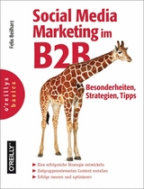 Social Media Marketing im B2B - Besonderheiten, Strategien, Tipps - Felix Beilharz