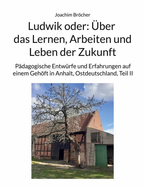 Ludwik oder: Über das Lernen, Arbeiten und Leben der Zukunft -  Joachim Bröcher