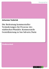 Die Bedeutung kommerzieller Veränderungen für Prozesse des städtischen Wandels. Kommerzielle Gentrifizierung in San Salvario, Turin - Johannes Tenbrink