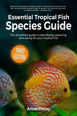 Essential Tropical Fish Species Guide -  Anne Finlay