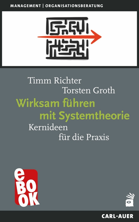 Wirksam führen mit Systemtheorie -  Timm Richter,  Torsten Groth