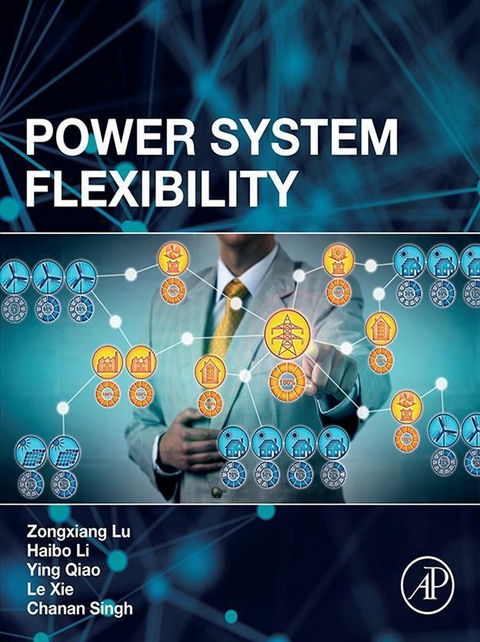 Power System Flexibility -  Xie Le,  Haibo Li,  Zongxiang Lu,  Ying Qiao,  Chanan Singh