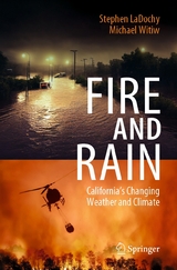 Fire and Rain - Stephen LaDochy, Michael Witiw