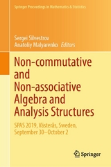 Non-commutative and Non-associative Algebra and Analysis Structures - 