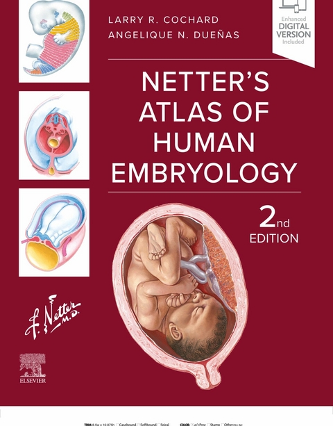 Netter's Atlas of Human Embryology - E-BOOK -  Larry R. Cochard,  Angelique N. Due?as