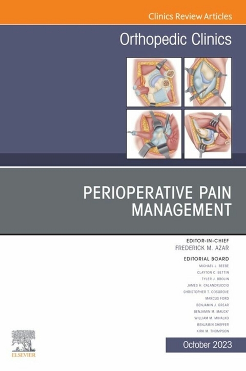 Perioperative Pain Management, An Issue of Orthopedic Clinics, E-Book - 