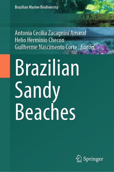 Brazilian Sandy Beaches - 