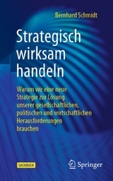 Strategisch wirksam handeln - Bernhard Schmidt