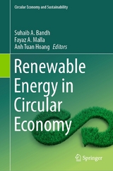 Renewable Energy in Circular Economy - 