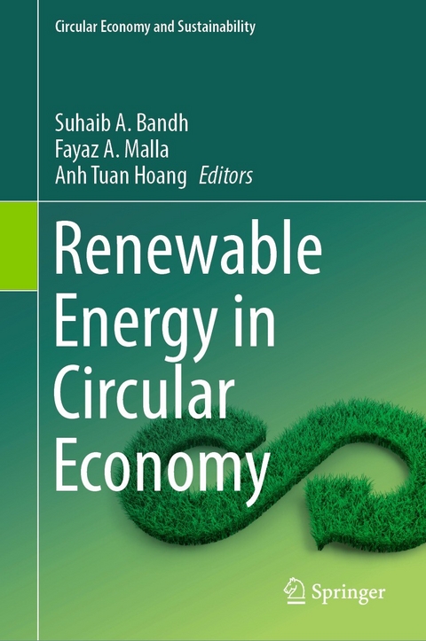 Renewable Energy in Circular Economy - 