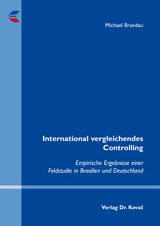 International vergleichendes Controlling - Michael Brandau