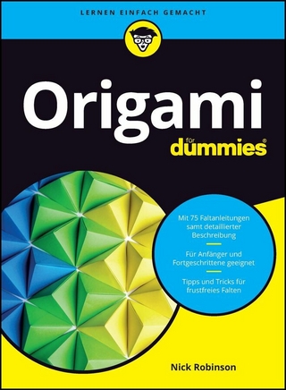 Origami für Dummies - Nick N. Robinson