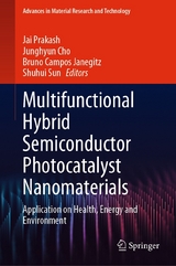Multifunctional Hybrid Semiconductor Photocatalyst Nanomaterials - 
