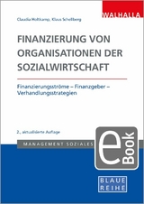 Finanzierung von Organisationen der Sozialwirtschaft - Klaus-Ulrich Schellberg, Claudia Holtkamp