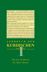 Lehrbuch der Kurdischen Sprache 1 - Barnas, Usso B; Barnas, Arian