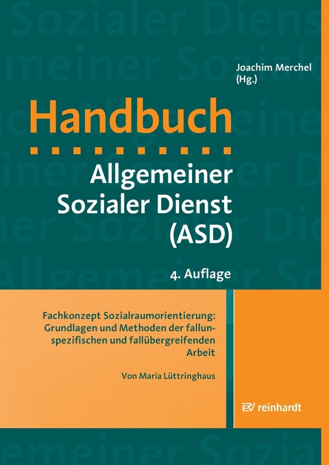 Fachkonzept Sozialraumorientierung: Grundlagen und Methoden der fallunspezifischen und fallübergreifenden Arbeit - Maria Lüttringhaus