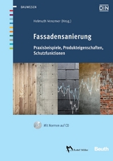 Fassadensanierung - 