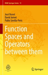 Function Spaces and Operators between them - José Bonet, David Jornet, Pablo Sevilla-Peris