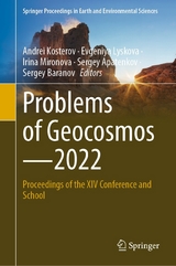 Problems of Geocosmos—2022 - 