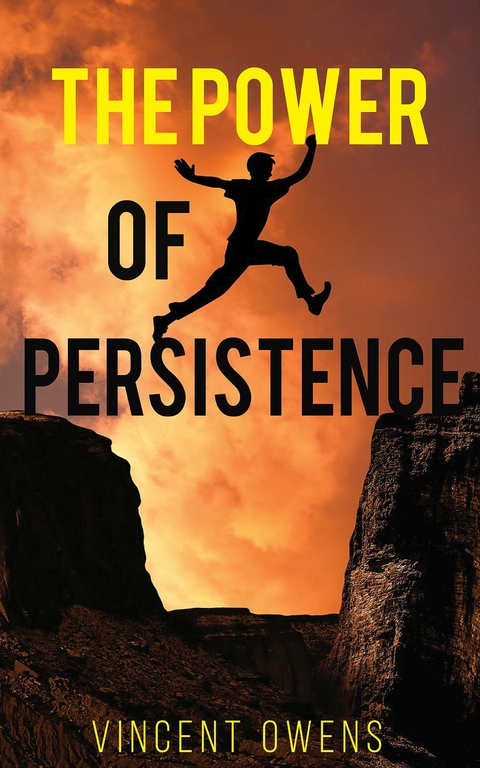 Power of Persistence -  Vincent Owens