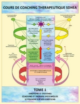 Analyse des systèmes et gestion des émotions - Jean-Louis Penin