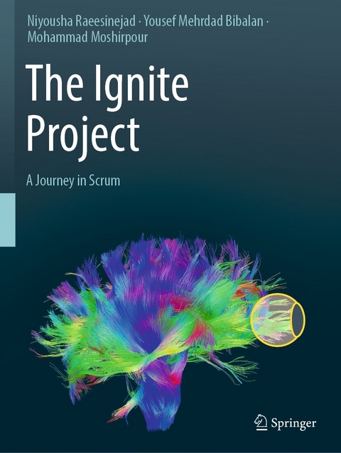Ignite Project -  Yousef Mehrdad Bibalan,  Mohammad Moshirpour,  Niyousha Raeesinejad