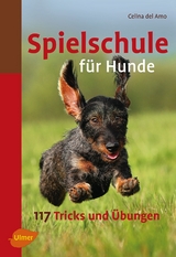 Spielschule für Hunde - Amo, Celina del