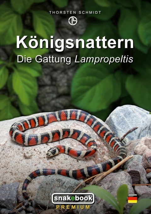 Königsnattern - Thorsten Schmidt