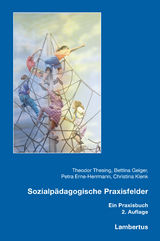 Sozialpädagogische Praxisfelder - Theodor Thesing, Bettina Geiger, Petra Erne-Herrmann, Christina Klenk