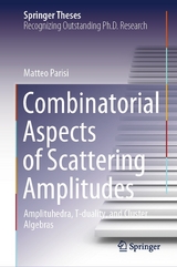 Combinatorial Aspects of Scattering Amplitudes - Matteo Parisi