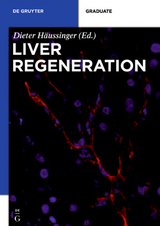 Liver Regeneration - 