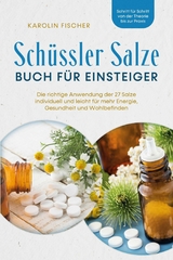 Schüssler Salze Buch für Einsteiger: Die richtige Anwendung der 27 Salze individuell und leicht für mehr Energie, Gesundheit und Wohlbefinden - Schritt für Schritt von der Theorie bis zur Praxis - Karolin Fischer