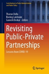 Revisiting Public-Private Partnerships - 