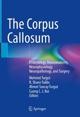 The Corpus Callosum - 