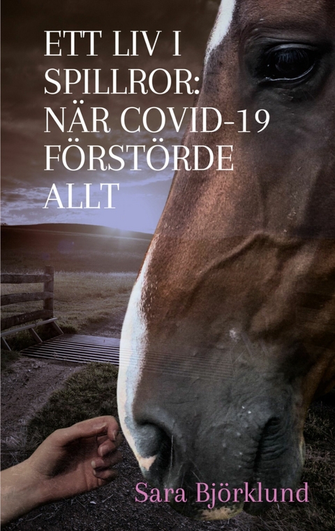 Ett liv i spillror: När covid-19 förstörde allt - Sara Björklund