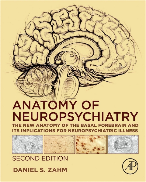 Anatomy of Neuropsychiatry -  Daniel S. Zahm