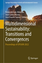 Multidimensional Sustainability: Transitions and Convergences - 