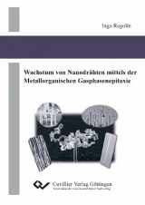 Wachstum von Nanodrähten mittels der Metallorganischen Gasphasenepitaxie - Ingo Regolin